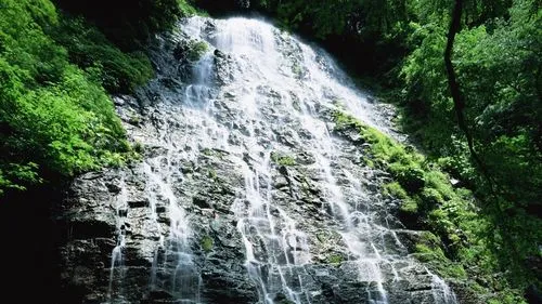 高端稳定性